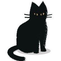 Cat for GP newsletter